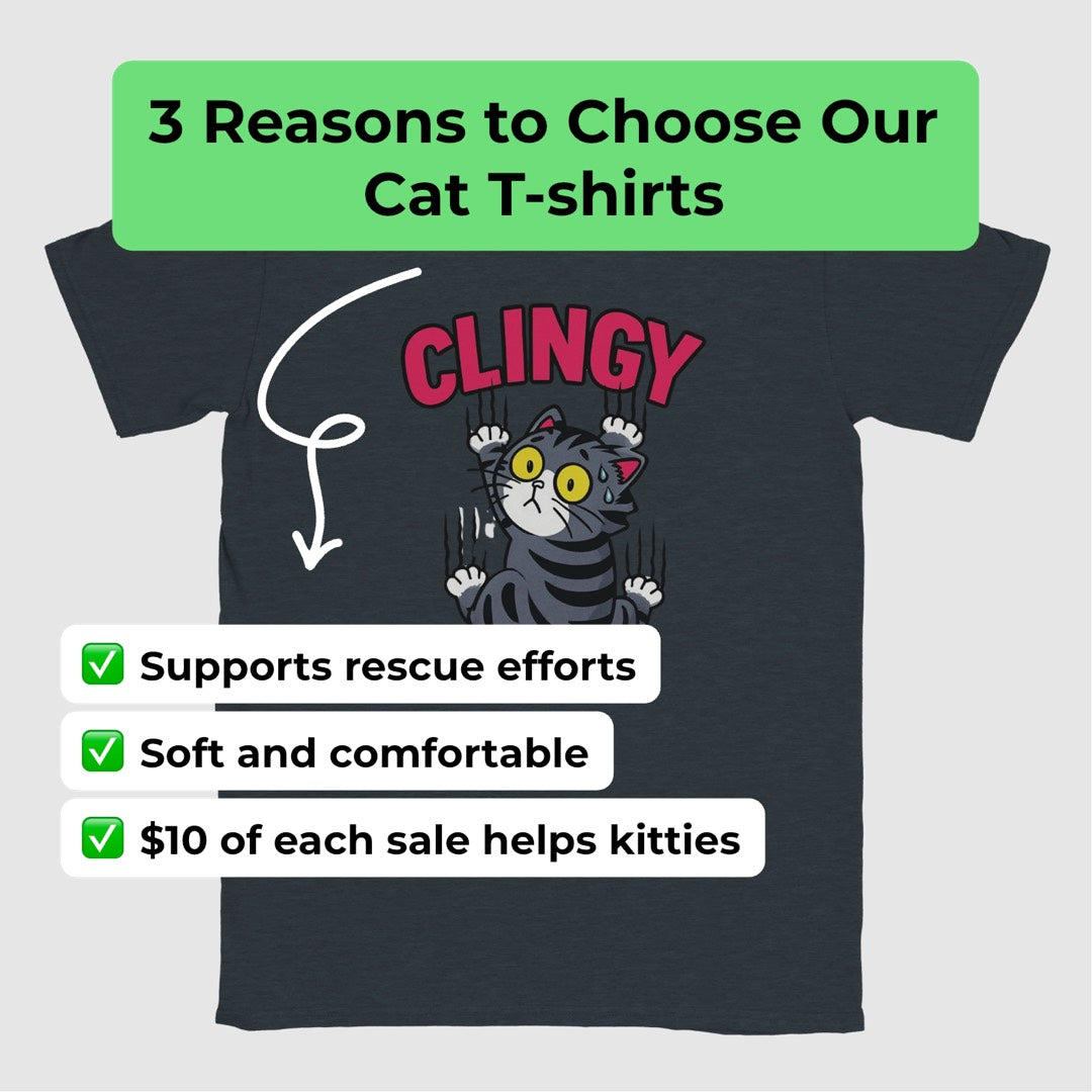 Fundraiser for Saving Southern Kitties